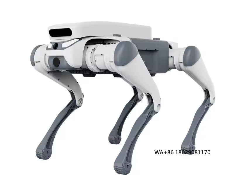 Robot Remote Control - Mainan edukatif kendali jarak jauh, robot