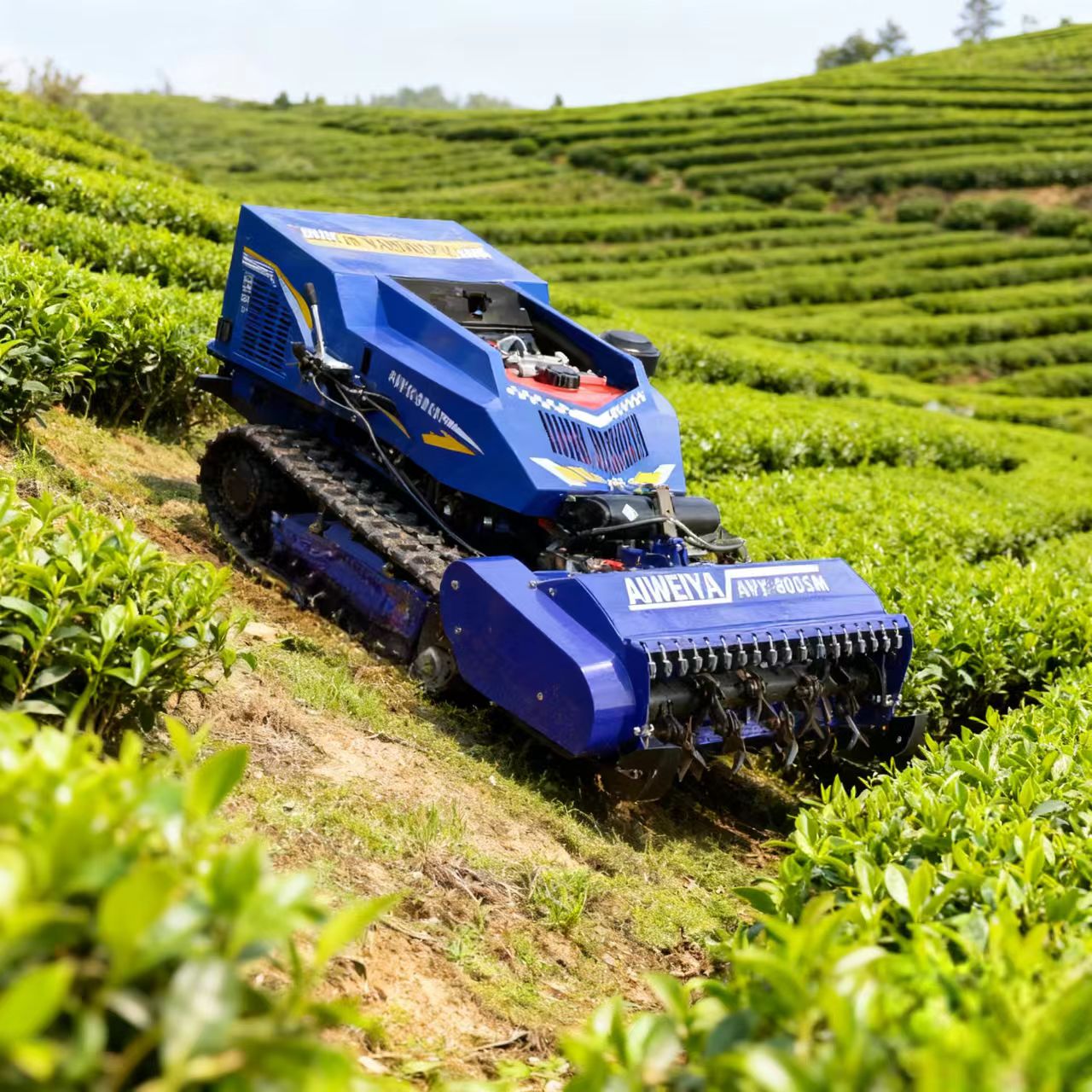 Mesin Pemotong Rumput Bensin K - Robot Chassis ulasan dan harga