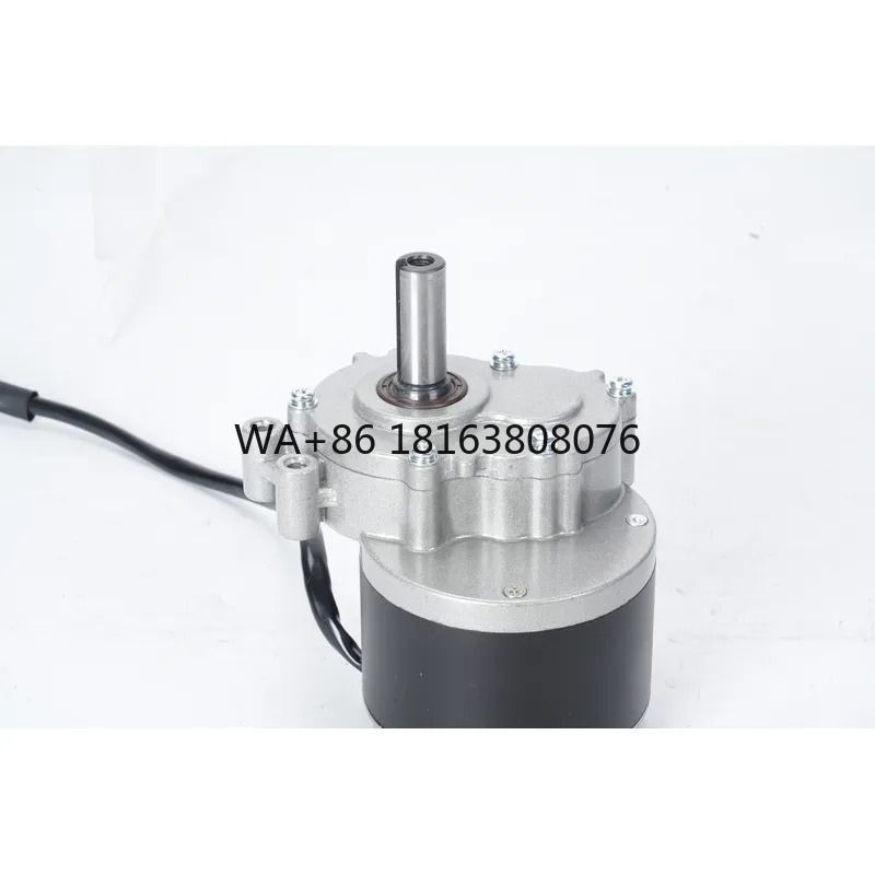 Kit Motor Gigi Sikat 4WD 24V 2 - Geared Motor ulasan dan harga
